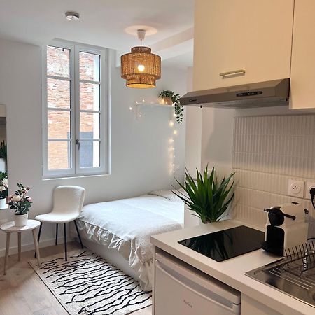 Appartement Le Saphir à Toulouse Extérieur photo