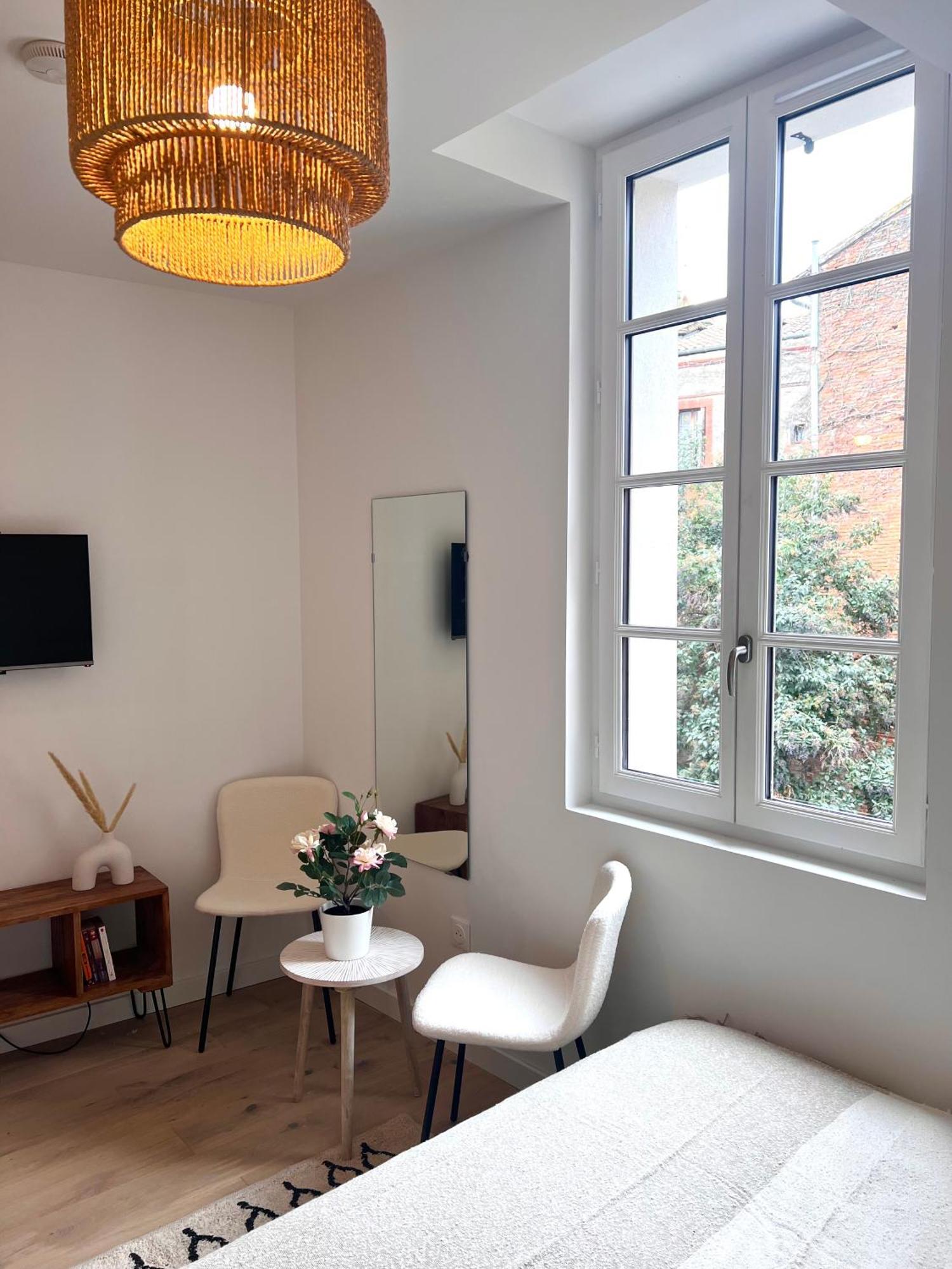Appartement Le Saphir à Toulouse Extérieur photo
