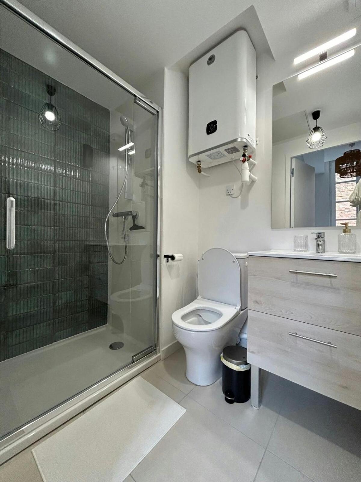 Appartement Le Saphir à Toulouse Extérieur photo