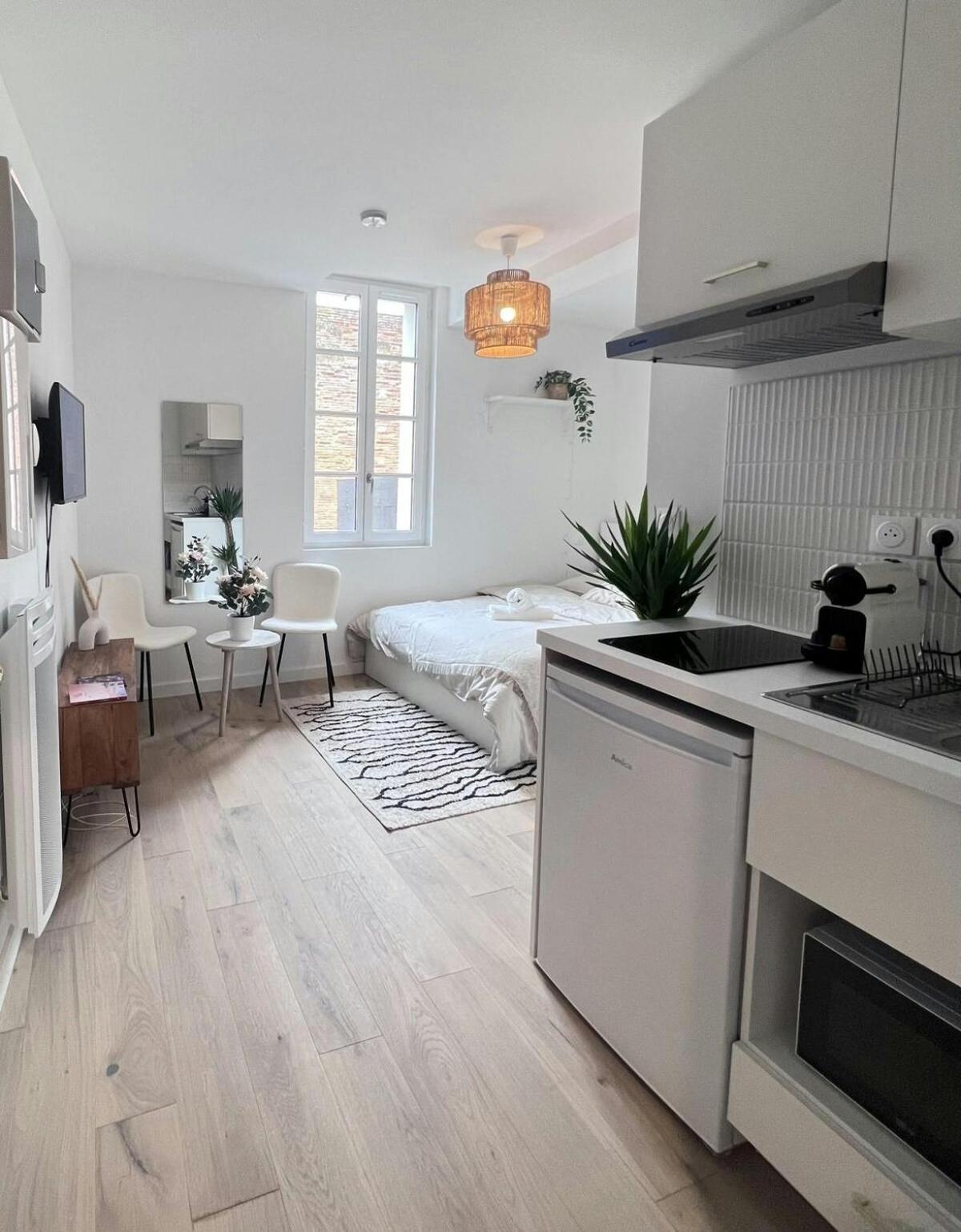 Appartement Le Saphir à Toulouse Extérieur photo